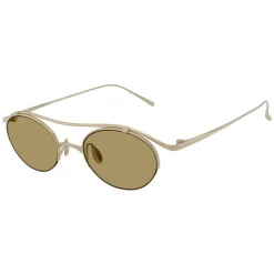 AR6172T Sunglasses