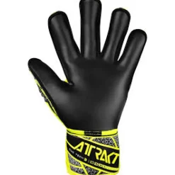 Attrakt Duo Evolution