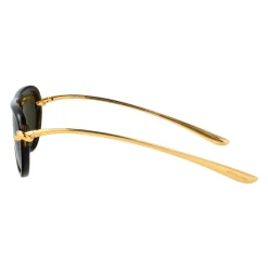 BV1418S Sunglasses