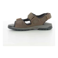 Chaussures Homme Marron Harald Z24