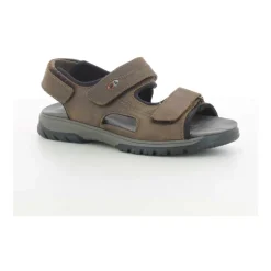 Chaussures Homme Marron Harald Z24