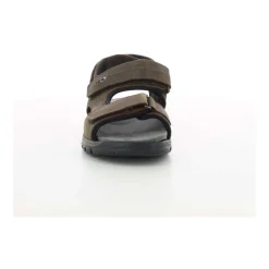 Chaussures Homme Marron Harald Z24
