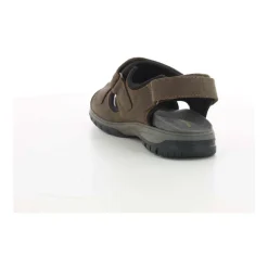 Chaussures Homme Marron Harald Z24