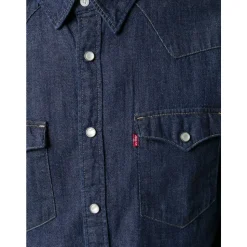 Chemises Bleues