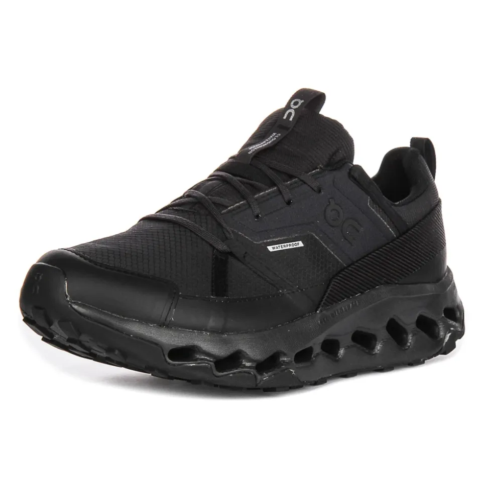 Cloudhorizon WP Mesh Trainers
