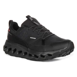Cloudhorizon WP Mesh Trainers