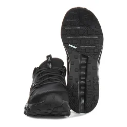 Cloudhorizon WP Mesh Trainers