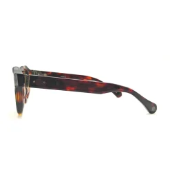Élégantes lunettes de soleil tortue foncée