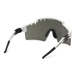 Lunettes de soleil monture tigre