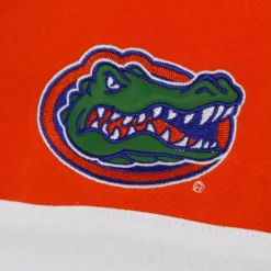 Sweat à capuche NCAA Head Coach