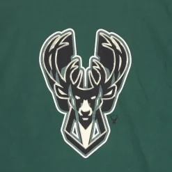 Tee-shirt avec logo Boston Celtics