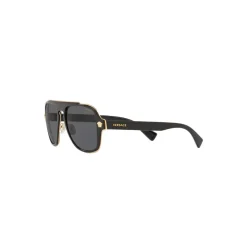 VE2199 100281 Sunglasses