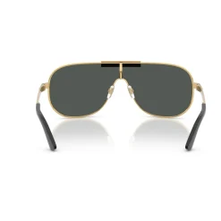 VE2293 Sunglasses