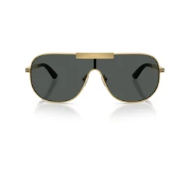 VE2293 Sunglasses