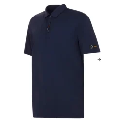 V4 Polo