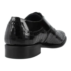 Zapato Cordones