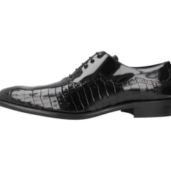 Zapato Cordones